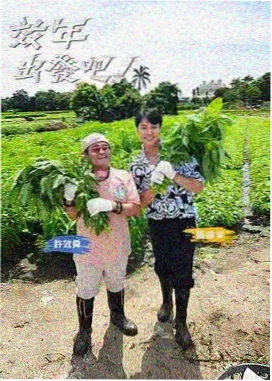 快乐大本营 星辰影院免费观看